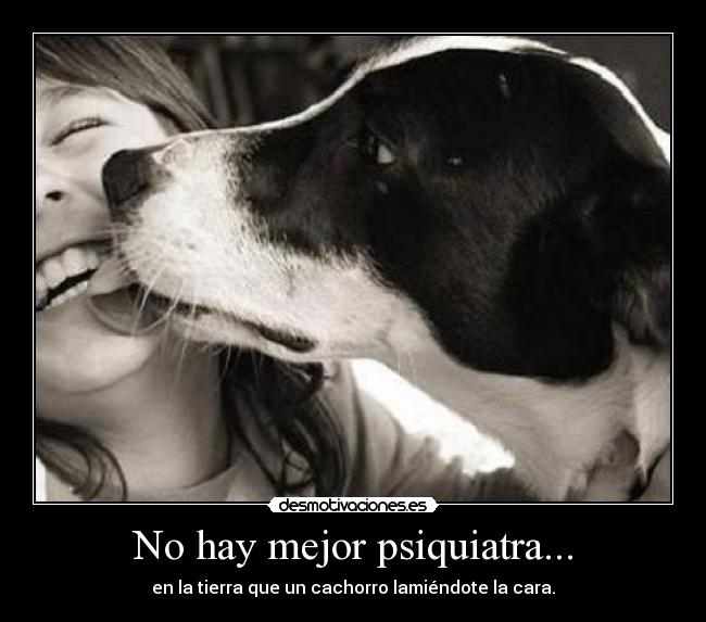 No hay mejor psiquiatra... -