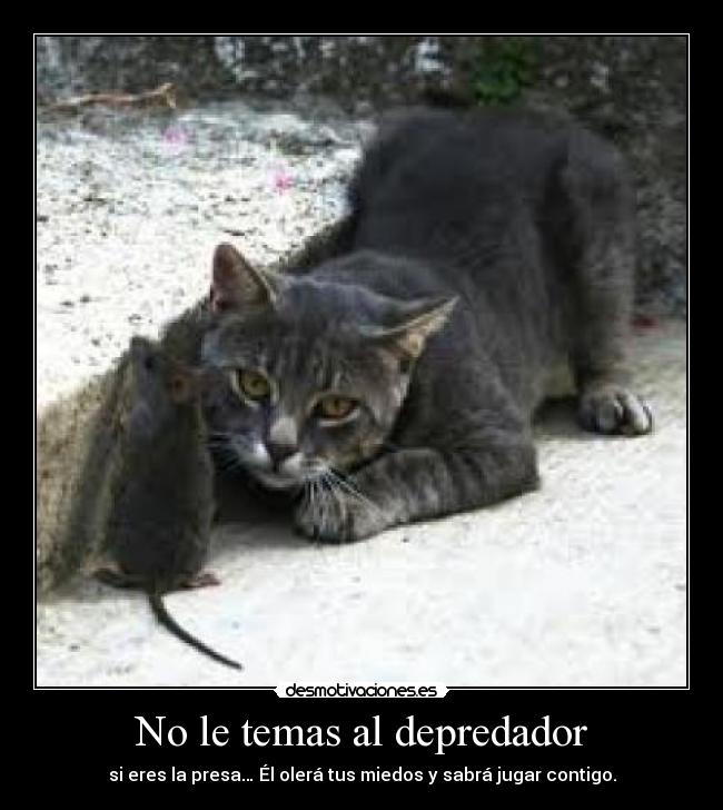No le temas al depredador - 