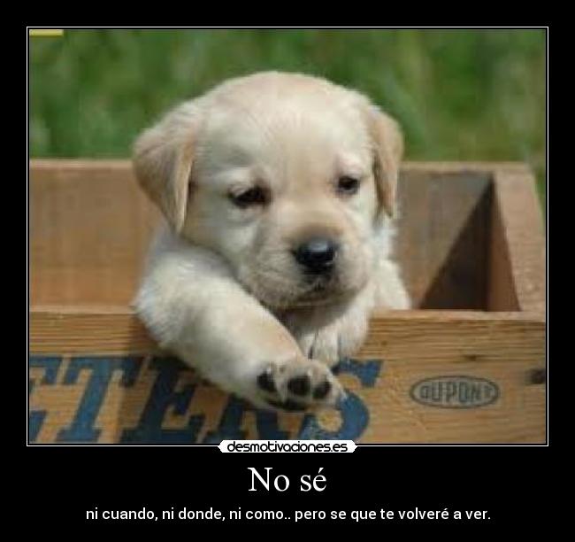 No sé - 
