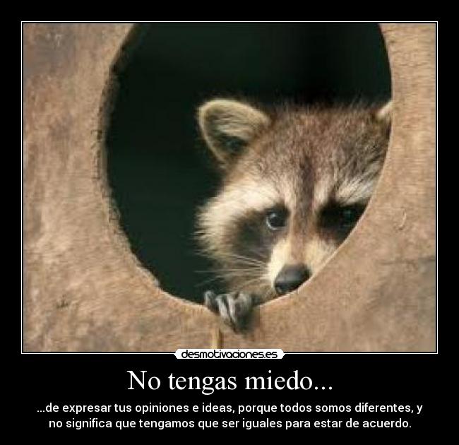 No tengas miedo... - ...de expresar tus opiniones e ideas, porque todos somos diferentes, y
no significa que tengamos que ser iguales para estar de acuerdo.