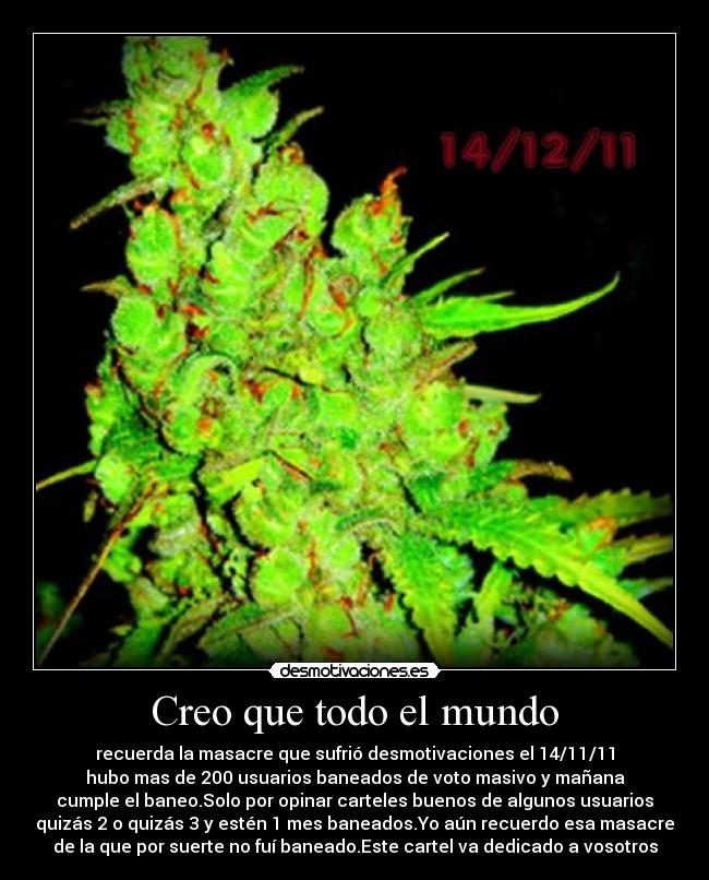 Creo que todo el mundo -