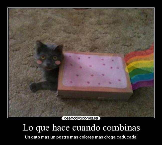 Lo que hace cuando combinas - Un gato mas un postre mas colores mas droga caducada!