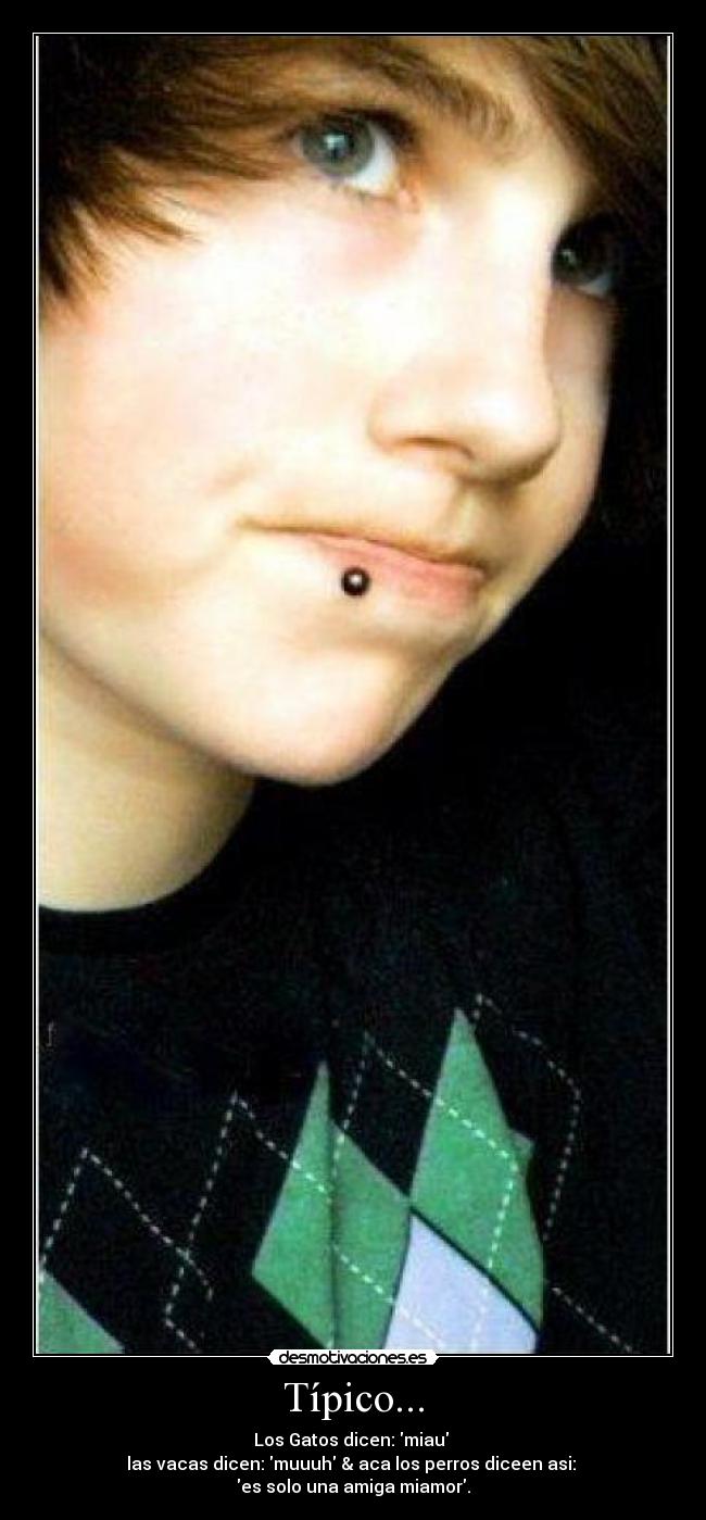 Típico... - Los Gatos dicen: miau
las vacas dicen: muuuh & aca los perros diceen asi:
es solo una amiga miamor.