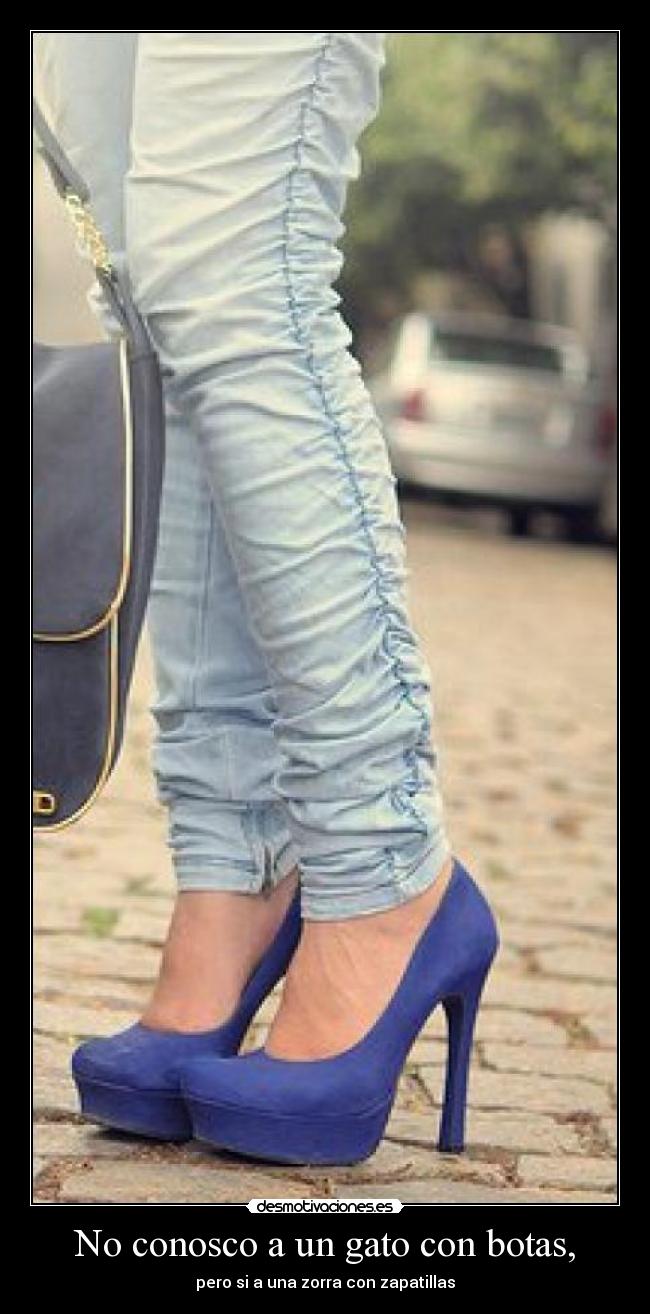 No conosco a un gato con botas, - pero si a una zorra con zapatillas