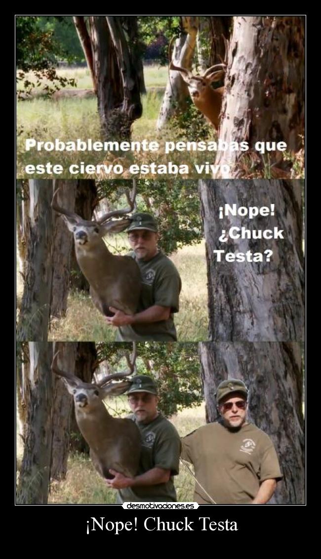 ¡Nope! Chuck Testa - 