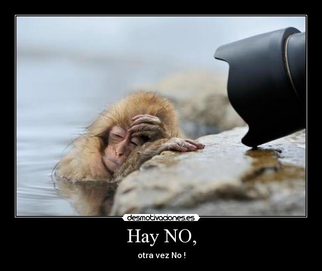 Hay NO, -