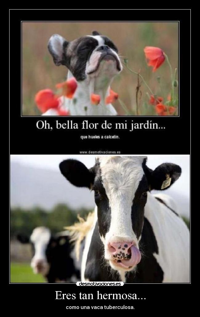 Eres tan hermosa... -