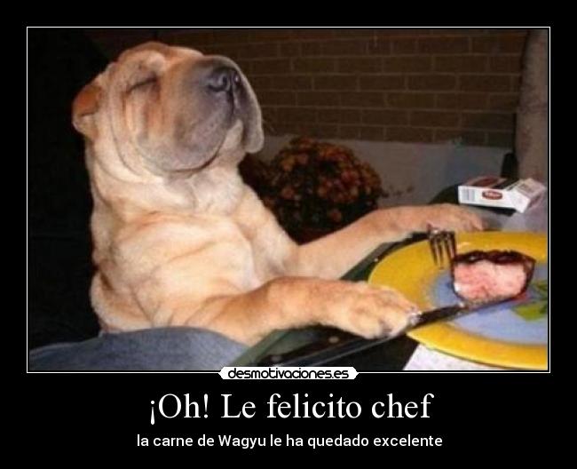¡Oh! Le felicito chef -