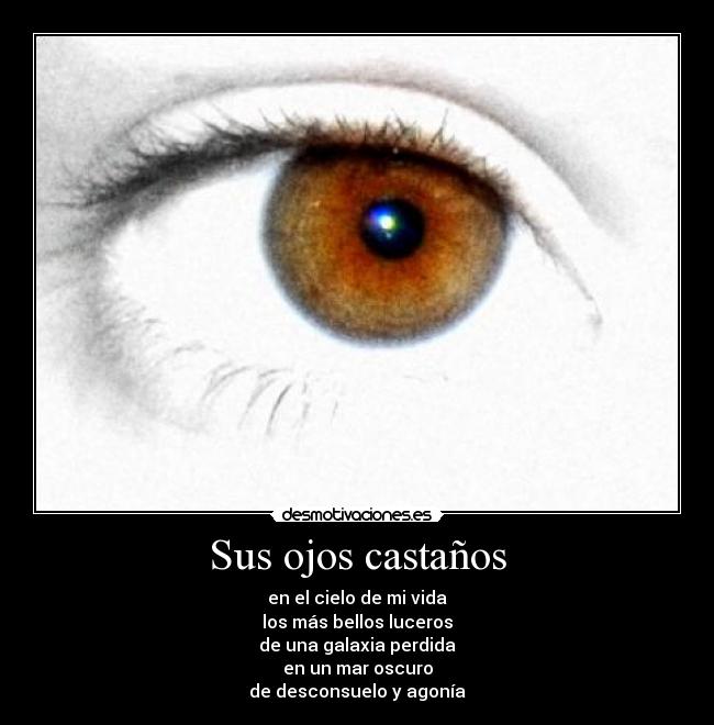 Sus ojos castaños - en el cielo de mi vida
los más bellos luceros
de una galaxia perdida
en un mar oscuro
de desconsuelo y agonía