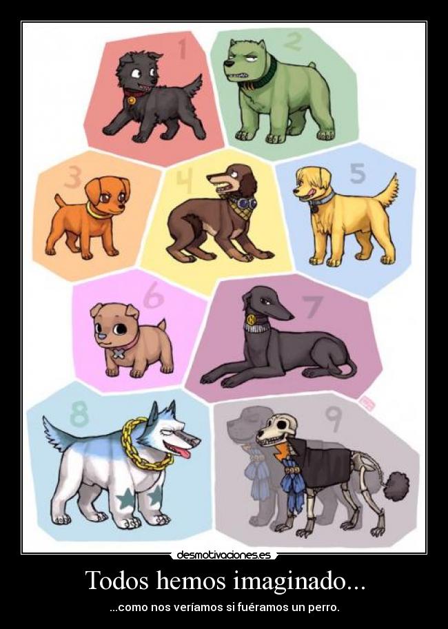 Todos hemos imaginado... -