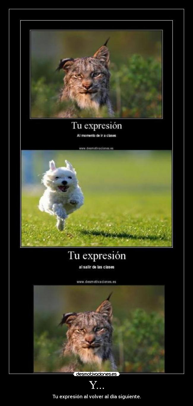 carteles expresion clases salir volver desmotivaciones