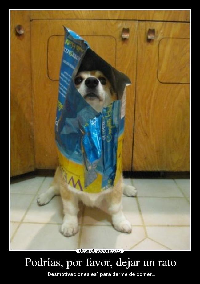 Podrías, por favor, dejar un rato - Desmotivaciones.es para darme de comer...