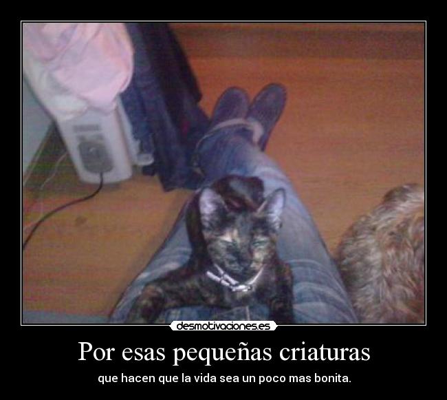 carteles por desmotivaciones