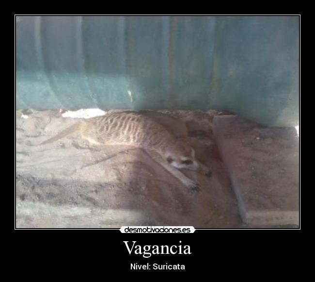 Vagancia -