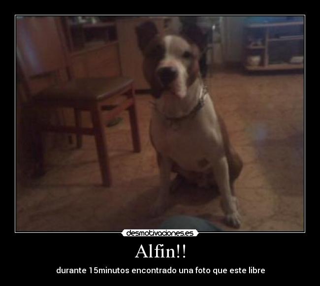 Alfin!! - durante 15minutos encontrado una foto que este libre