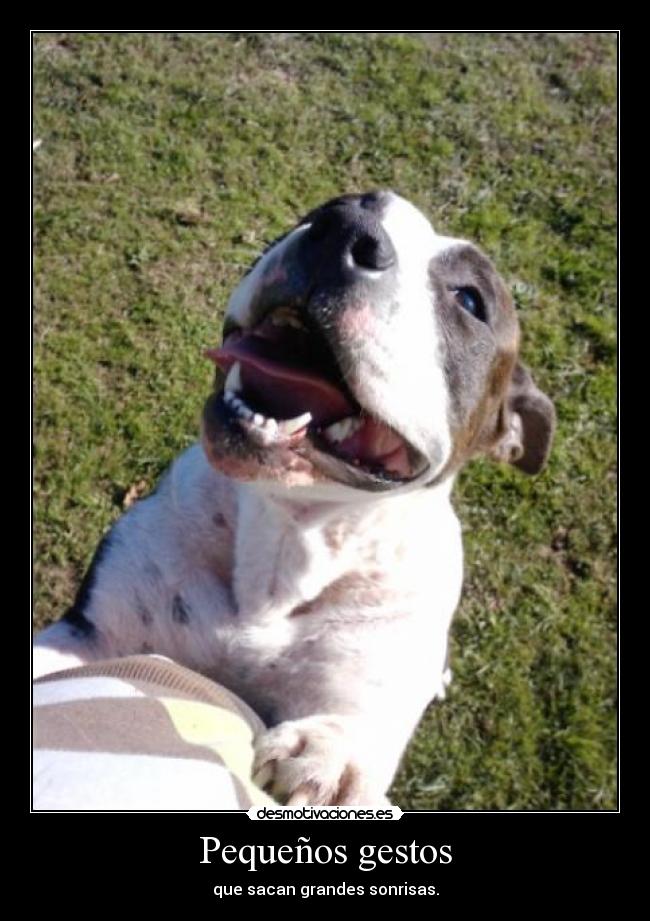Pequeños gestos - 