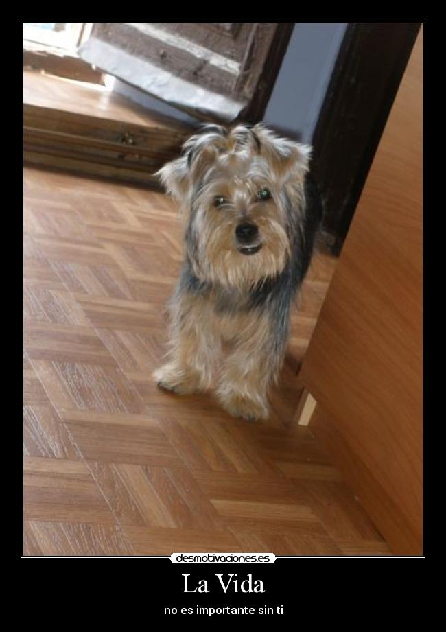 Imágenes y Carteles de RESTREPO Pag. 2 Desmotivaciones