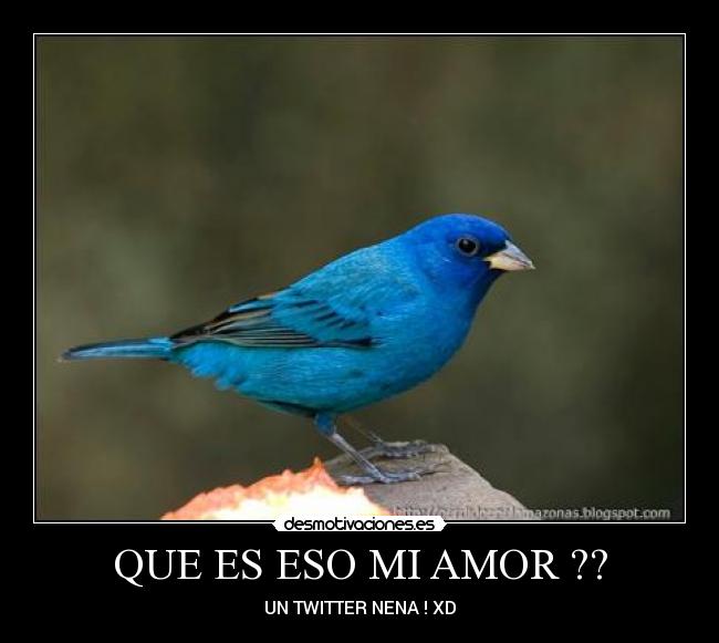 QUE ES ESO MI AMOR ?? -