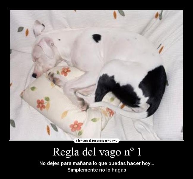 Regla del vago nº 1 -