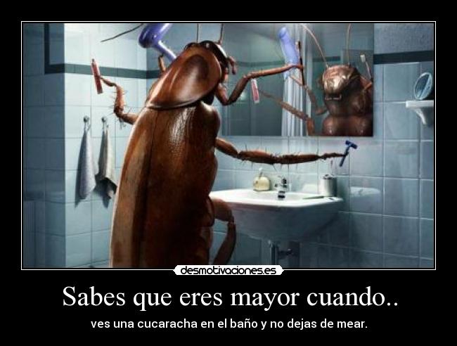 Sabes que eres mayor cuando.. - ves una cucaracha en el baño y no dejas de mear.