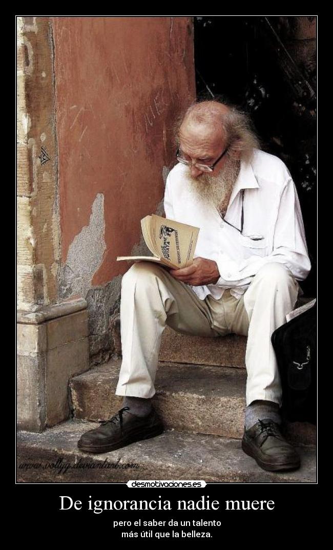 carteles ignorancia lrc1894 ignorancia belleza talento desmotivaciones