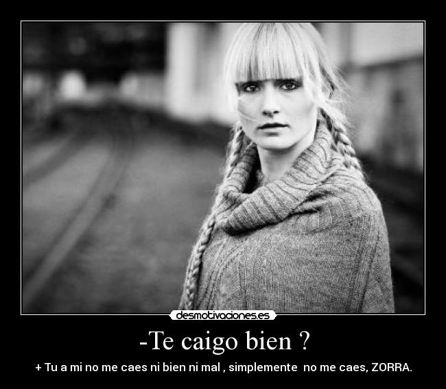 -Te caigo bien ? - + Tu a mi no me caes ni bien ni mal , simplemente no me caes, ZORRA.