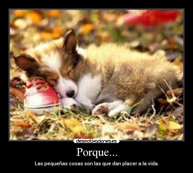 Porque... - 