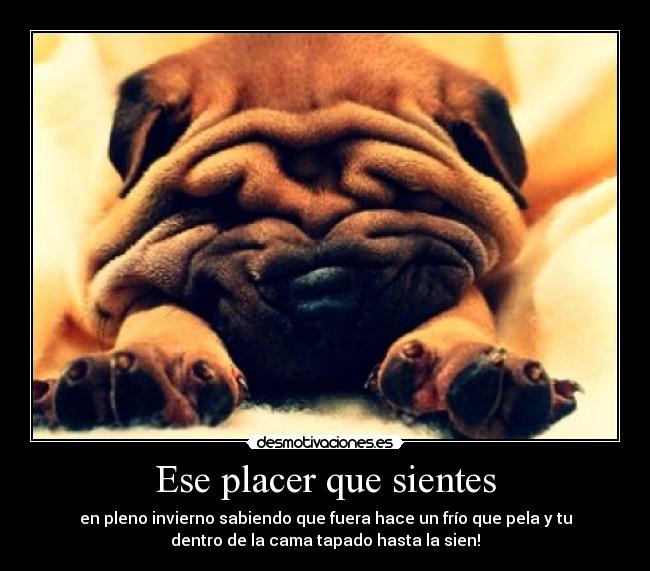 Ese placer que sientes - en pleno invierno sabiendo que fuera hace un frío que pela y tu
dentro de la cama tapado hasta la sien!