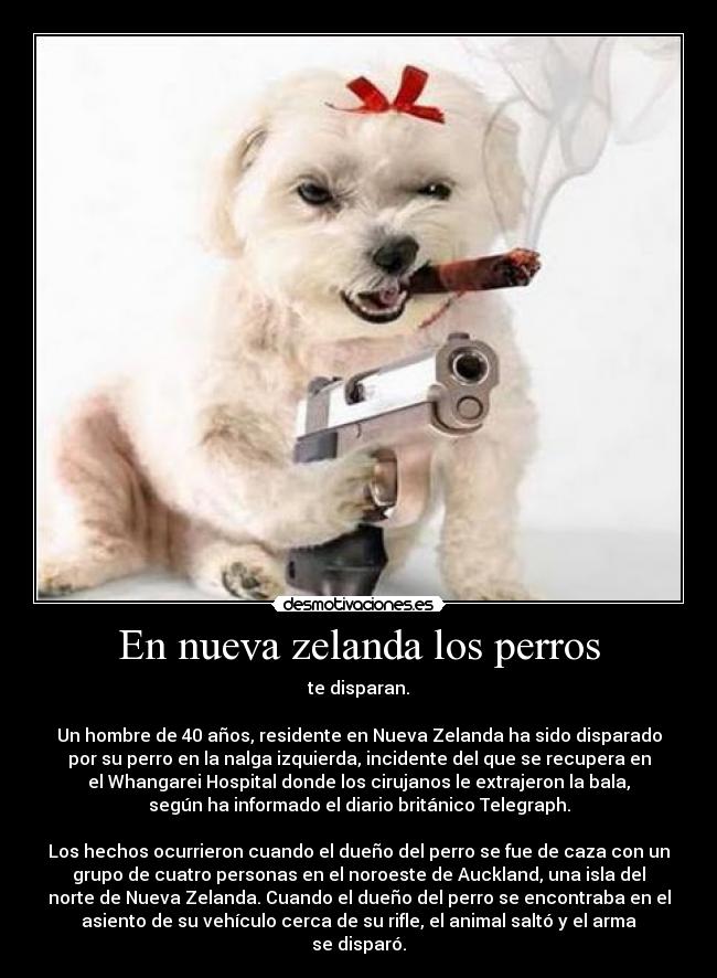 En nueva zelanda los perros -