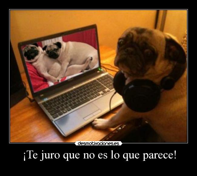 ¡Te juro que no es lo que parece! -