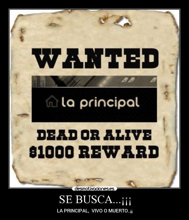 SE BUSCA...¡¡¡ - LA PRINCIPAL,  VIVO O MUERTO..¡¡