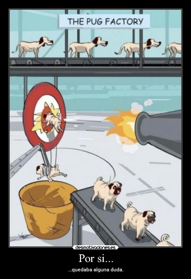 Por si... - ...quedaba alguna duda.