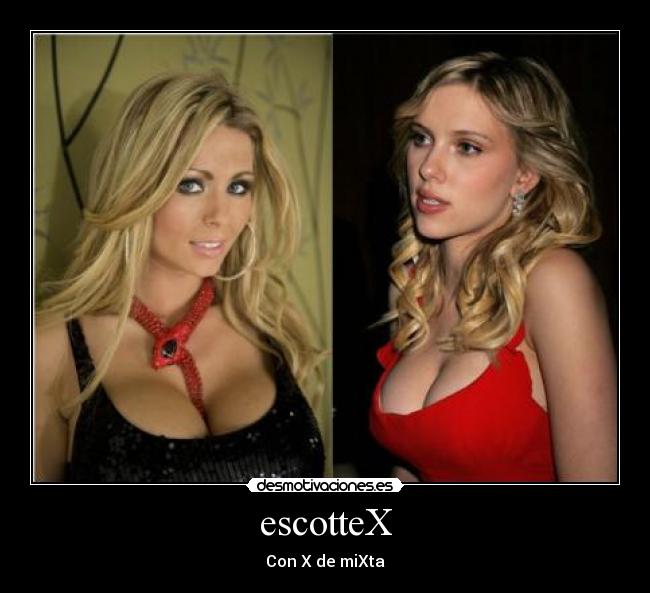 escotteX -