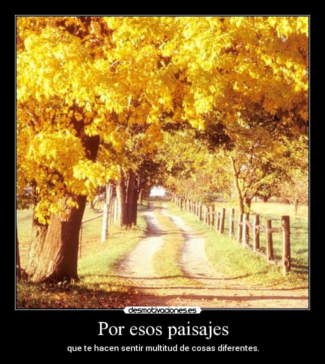 Por esos paisajes - que te hacen sentir multitud de cosas diferentes.