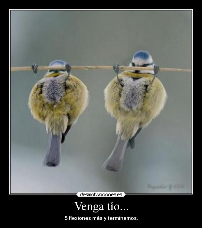 Venga tío... - 5 flexiones más y terminamos.