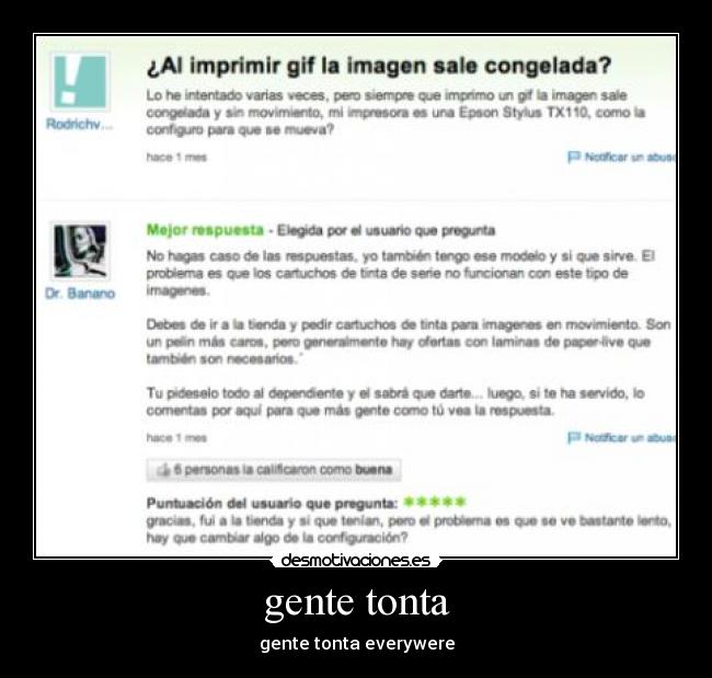 gente tonta - gente tonta everywere