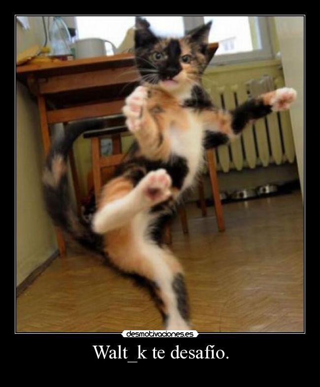 carteles este gatosva apor waltk que llamaria los intruders kittag bollicao demas desmotivaciones