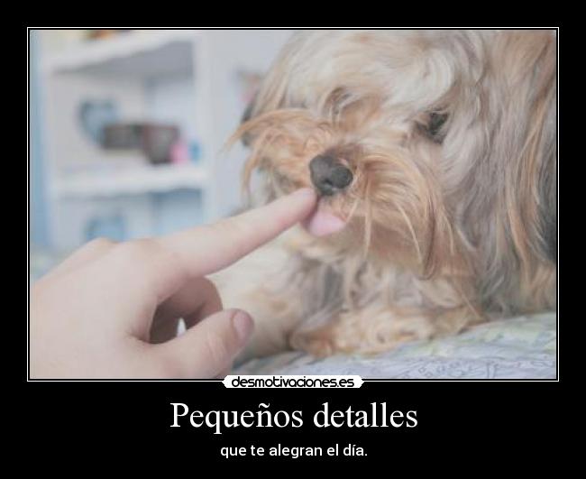 Pequeños detalles - que te alegran el día.