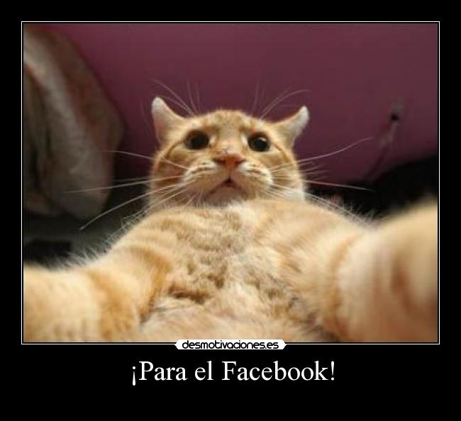 ¡Para el Facebook! -