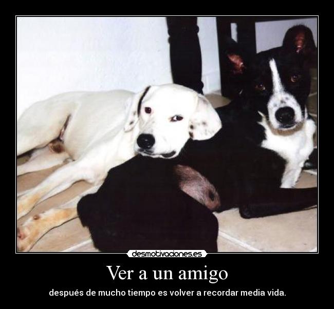 Ver a un amigo - 