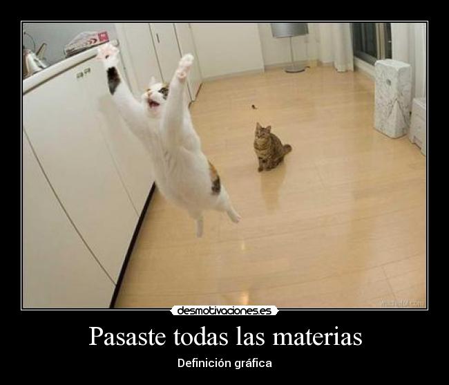 Pasaste todas las materias -