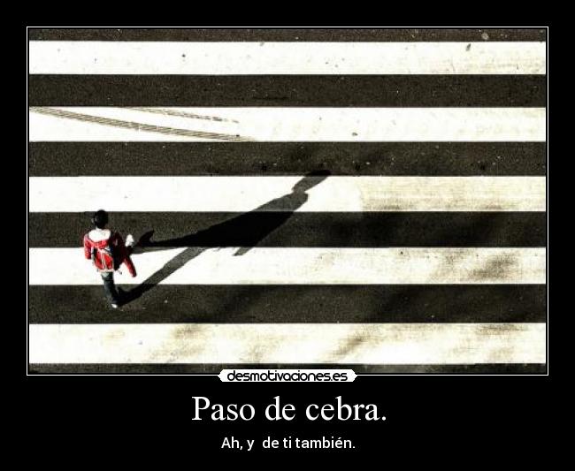 Paso de cebra. -