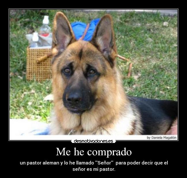 Me he comprado - un pastor aleman y lo he llamado Señor  para poder decir que el señor es mi pastor.