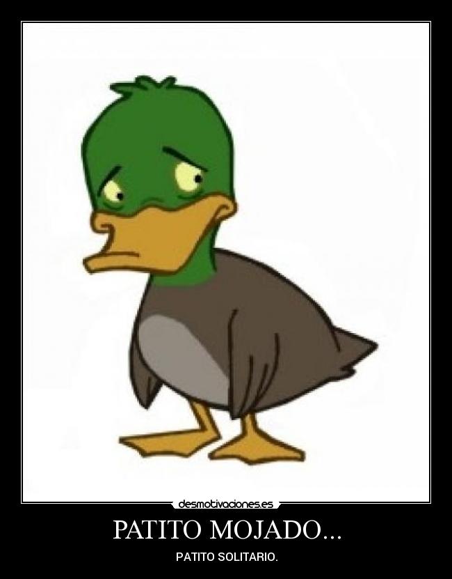 PATITO MOJADO... -