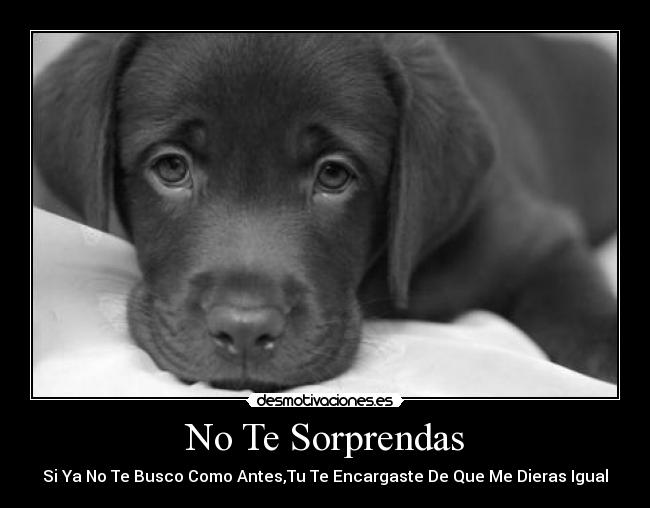 No Te Sorprendas -