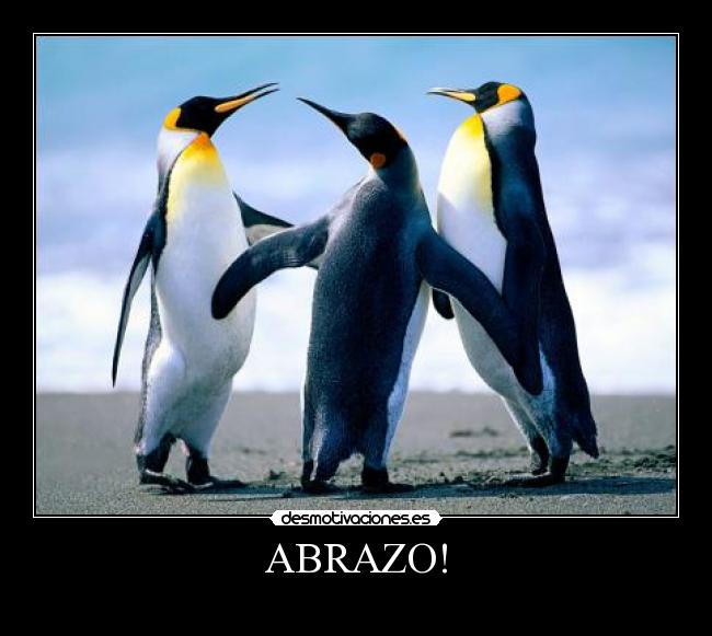 ABRAZO! -