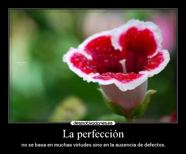 La perfección - 
