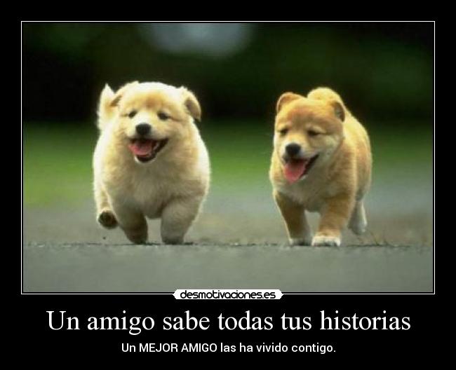 Un amigo sabe todas tus historias - 