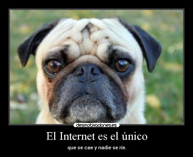 carteles internet aprende vivir joapumita7 elclanviral desmotivaciones