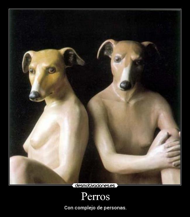 Perros - Con complejo de personas.